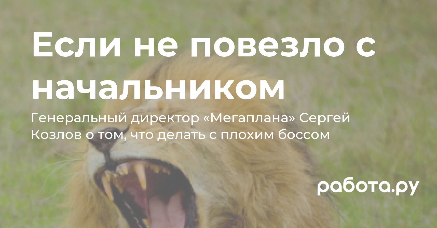 Если не повезло с начальником — полезные статьи и советы на медиа «Просто  работа», Работа.ру.