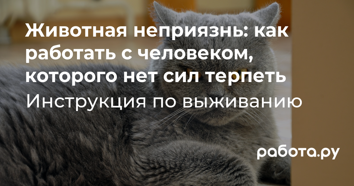 Как преодолеть личную неприязнь на работе