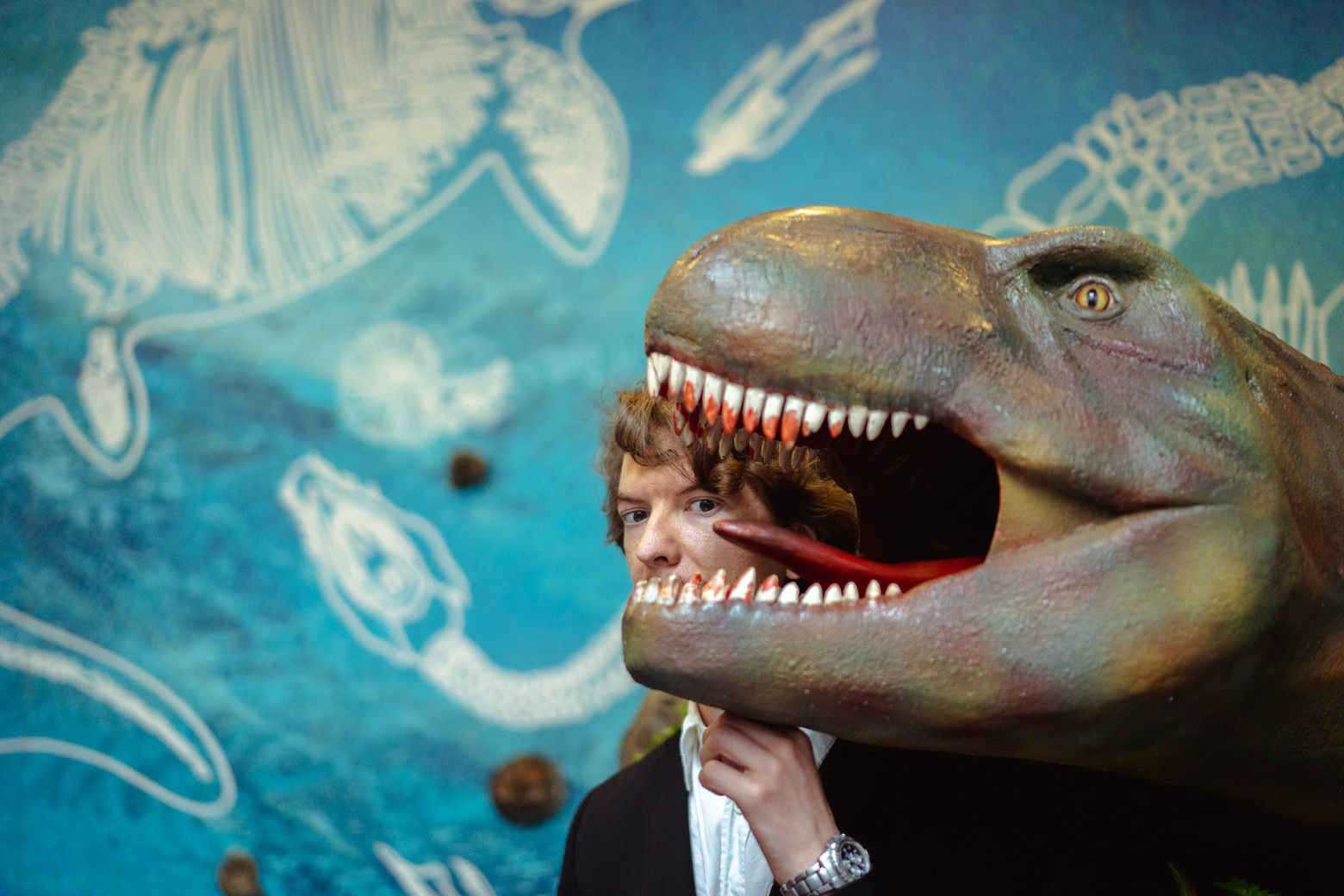 Фотоистория: я изучаю динозавров и работаю в Дарвиновском музее