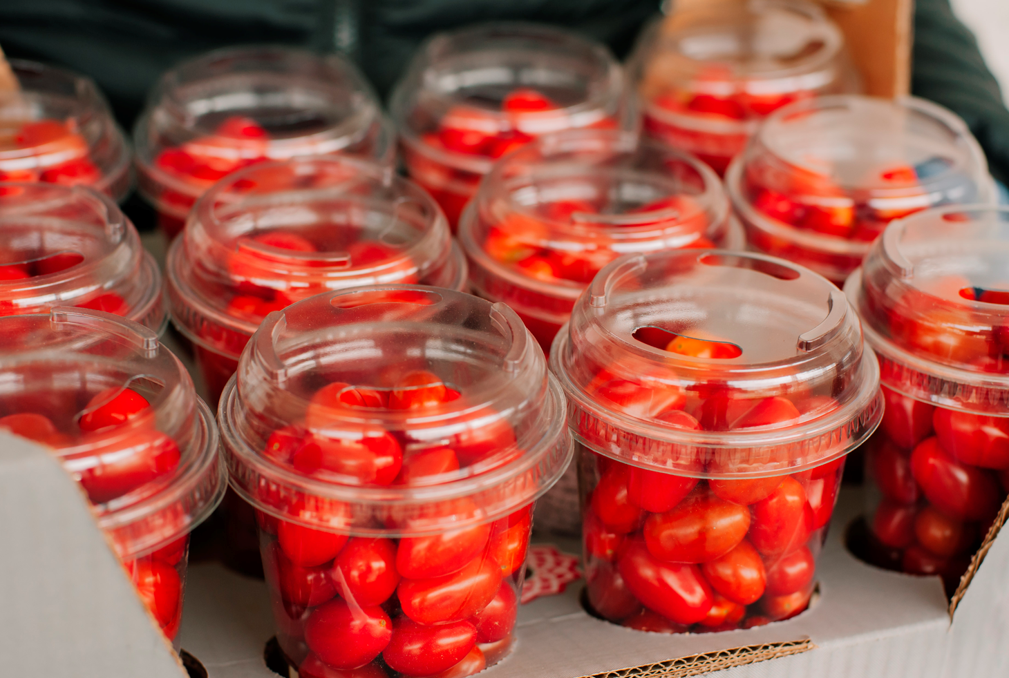 От мэра до упаковщика томатов черри: самые необычные вакансии января