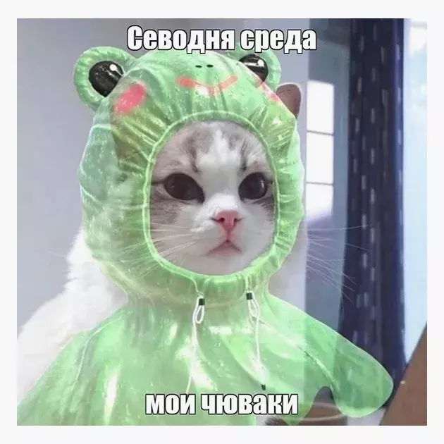 Среда, мои чюваки