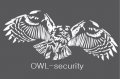 ЧОП "OWL-security", ООО