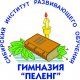 Гимназия "Пеленг", НОУ СибИРО