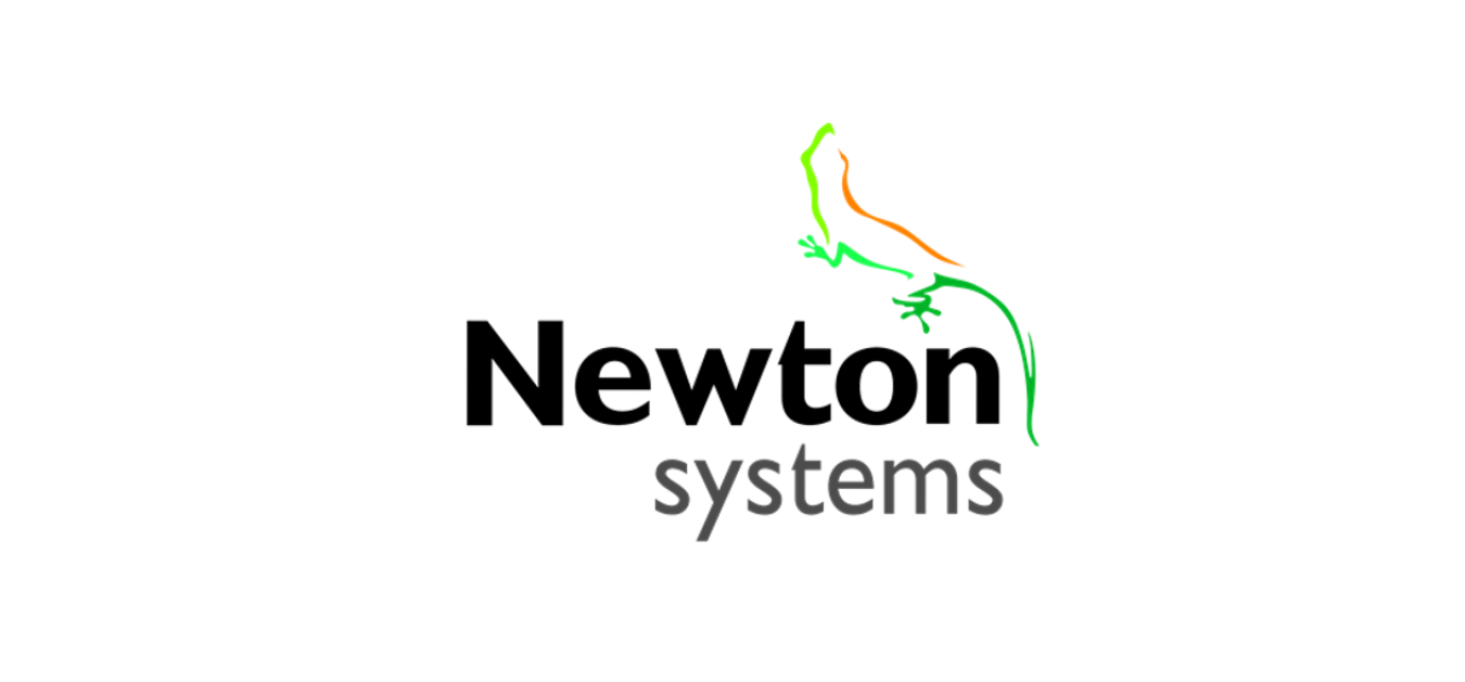 Newton Systems